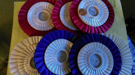 Award ribbon backing