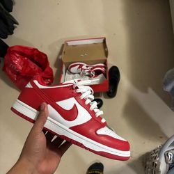 Men’s Nike Dunks Low Retro