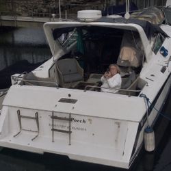 Wellcraft Boat for Sale - Must Sell due to Illness