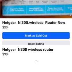 Netgear N 300 Wireless Router 