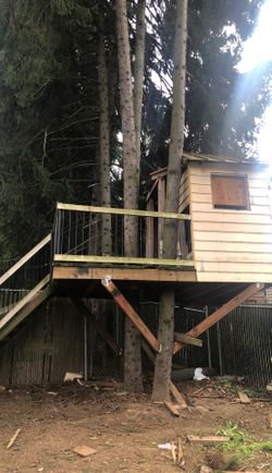 Tree house