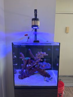 Hygger HG107 50W LED Reef Aquarium Light