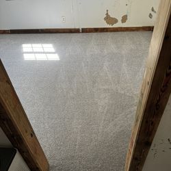 Carpet For Sale 