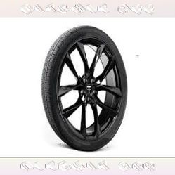 instead conference Tesla Tires All Options - Efficiency Combined with Speed