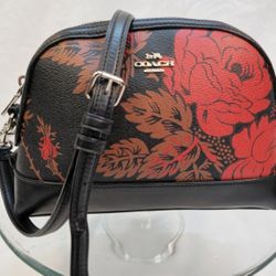 Coach Roses Dome Crossbody Bag
