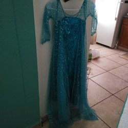 Elsa Costume 