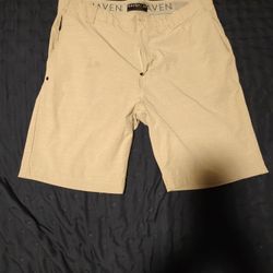 Maven 34" Shorts