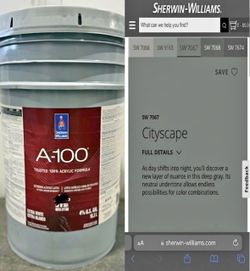 Cityscape color. Exterior Paint 5 gallons. Satin