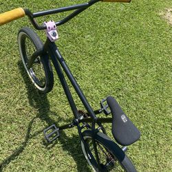 Custom Fit Bike