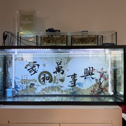 fish tank