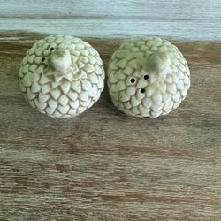 Sea Urchin White Salt And Pepper