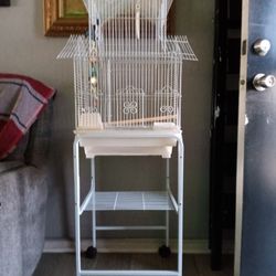Bird Cage 