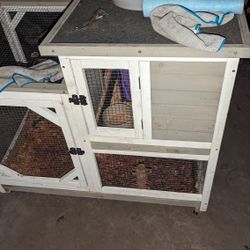 Pets Rabbit House