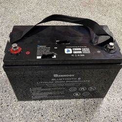 Renogy 12V 100Ah Lithium Iron Phosphate Battery w/ Bluetooth LiFePO4