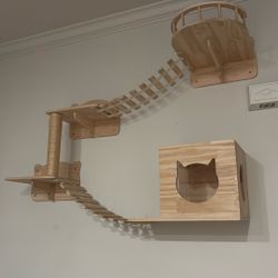 Cat Climber