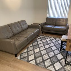 Grey Leather Couches