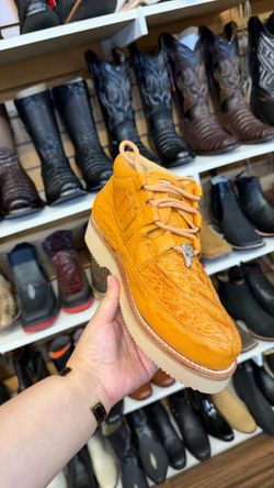 Zapatos y cinto exótico