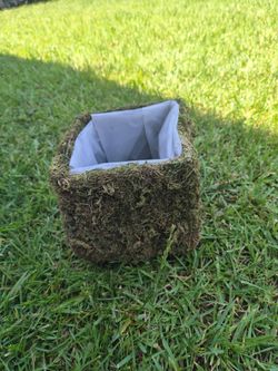 Super moss baskets ...