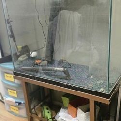80 GAL FISH TANK