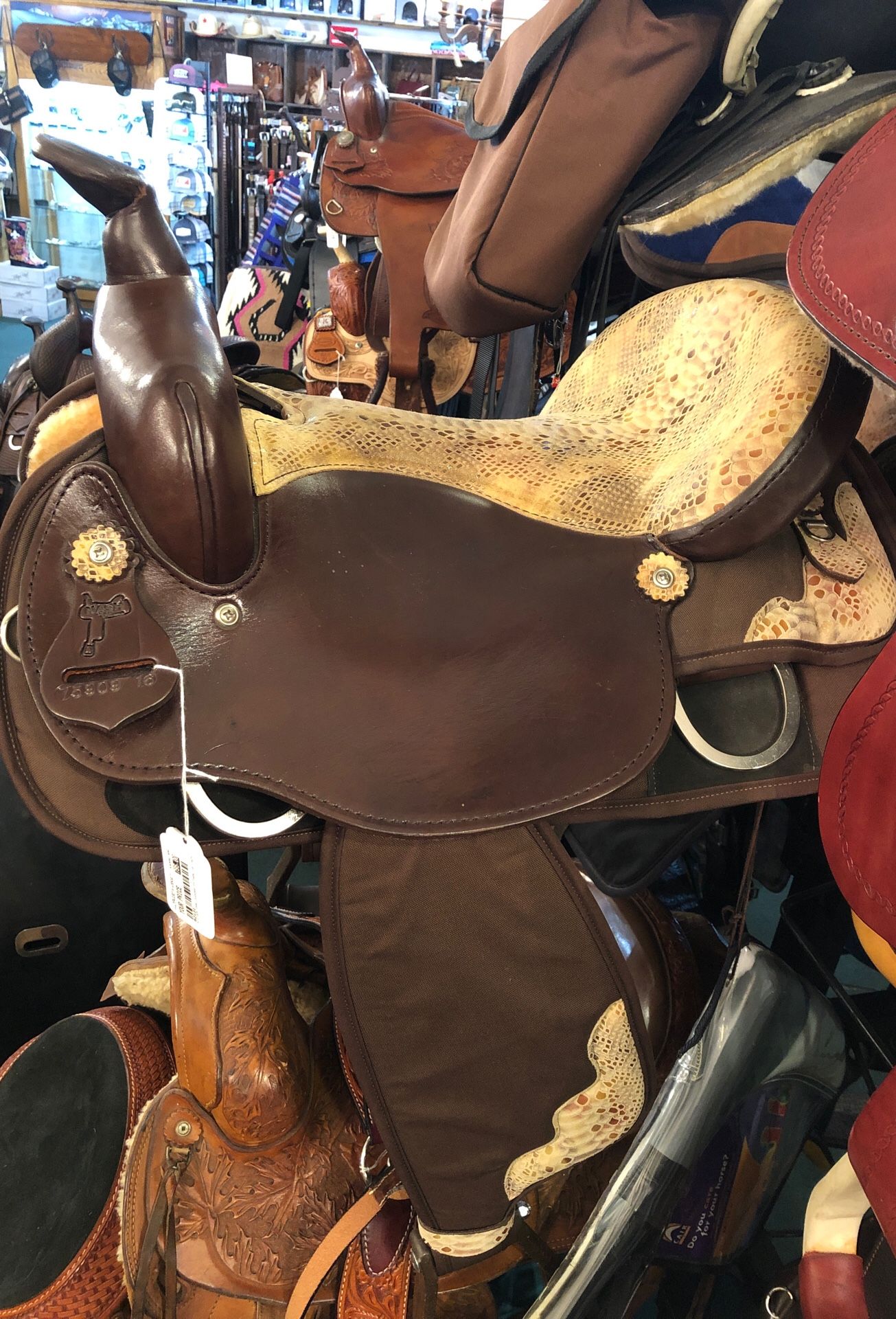 NEW Silver Oak Cudora Python saddle 16in