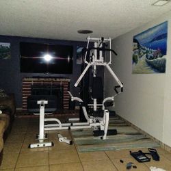 Total Home Gym 