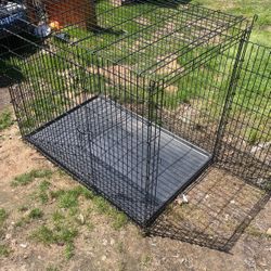 45x55 Dog Cage