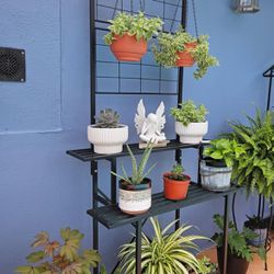 Plant Stand with Hanging Plant pot shelf 