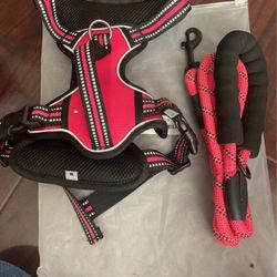 Brand New Harness And Leash Set Size M 