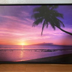 Framed Canvas Art Work