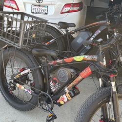 2 E-bikes 