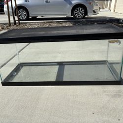 20 Gallon Reptile Aquarium 