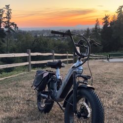 Puckipuppy 960-watt eBike in like-new condition