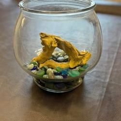 Glass Fish Bowl
