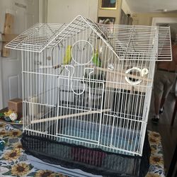 M Cage For Sale 