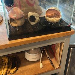 Fish Tank With Accessories 