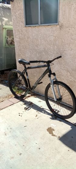 2008 Raleigh M80 (Single speed)