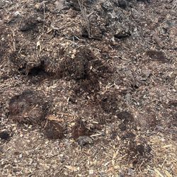 Composed Mulch