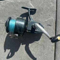 Vintage Fishing Reel