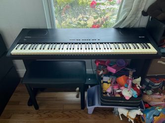 Kurzweil RG100SE