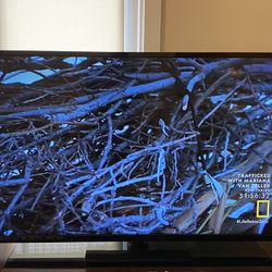 60” VIZIO Smart HDTV