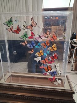 Butterfly, Center table, Platter and more
