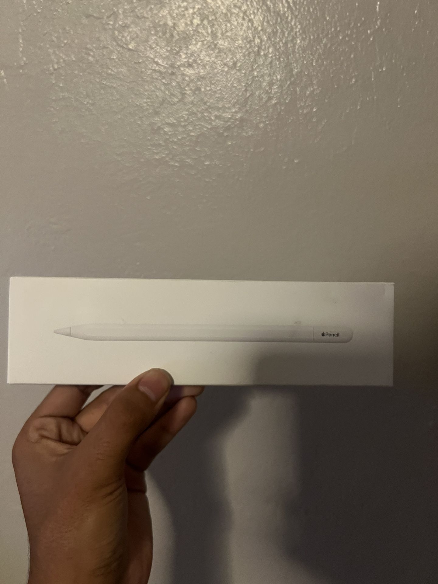 Apple Pencil (2nd Gen USB C)