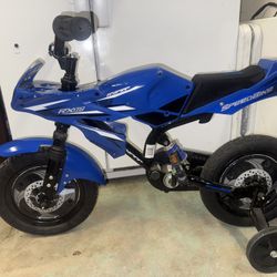  Bicycle With Training Wheels 