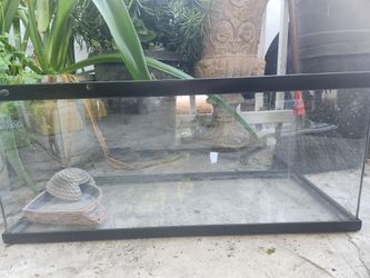 Fish/lizard TANK