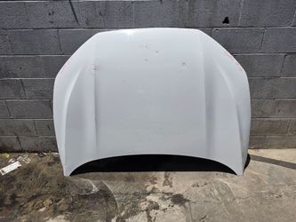 Hood escape 2023 2024 2025 2026 ford