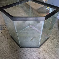 Corner Aquarium 