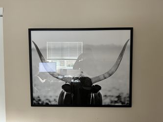 Framed Bull Picture ( Staredown No. 2 Framed Wall Art by Minted for West Elm)