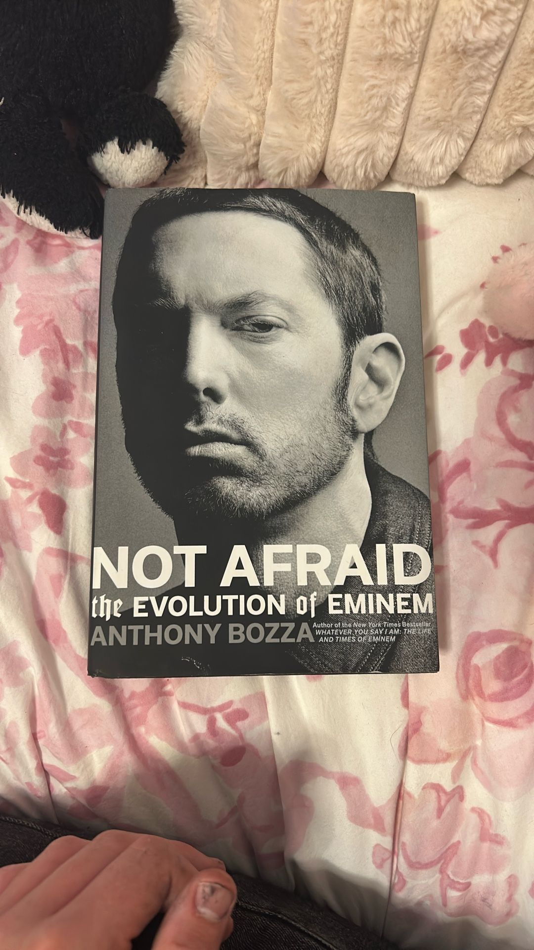 Eminem Book: Not Afraid The Evolution Of Eminem