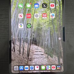 Almost brand new, only unboxed. iPad Pro 11 M4 256 from Beaverton, Oregon!