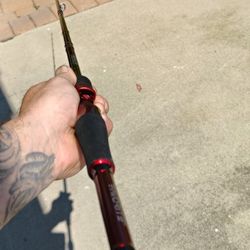 Absolute Casting Rod